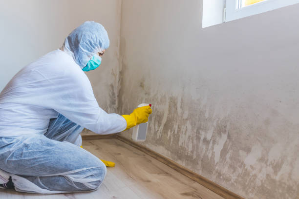 Best Crawl Space Mold Removal  in Ciborne, LA