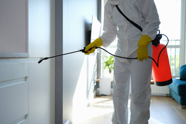 Professional Mold Removal in Claiborne, LA